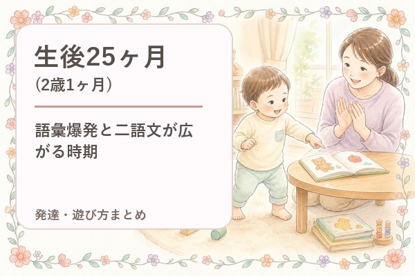 生後25ヶ月（2歳1ヶ月）の発達・遊び方まとめ｜語彙爆発と二語文が広がる時期